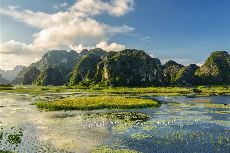  닌빈 프라이빗 투어: 바이딘 사원 – 반롱 생태보호구역 탐방